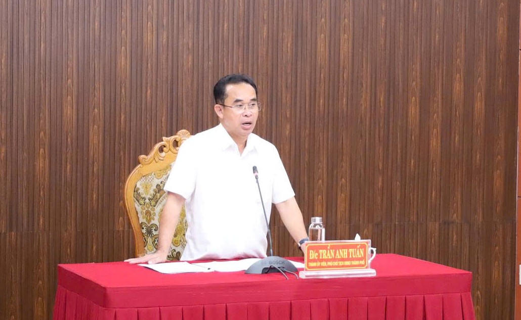 Ông Trần Anh Tuấn, Phó Chủ tịch UBND TP Đà Nẵng phát biểu tại buổi làm việc. Ảnh: T. Thành.