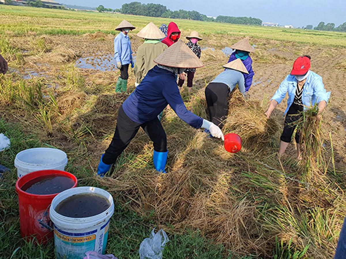 Lan tỏa những mô hình sáng tạo, bền vững của phụ nữ