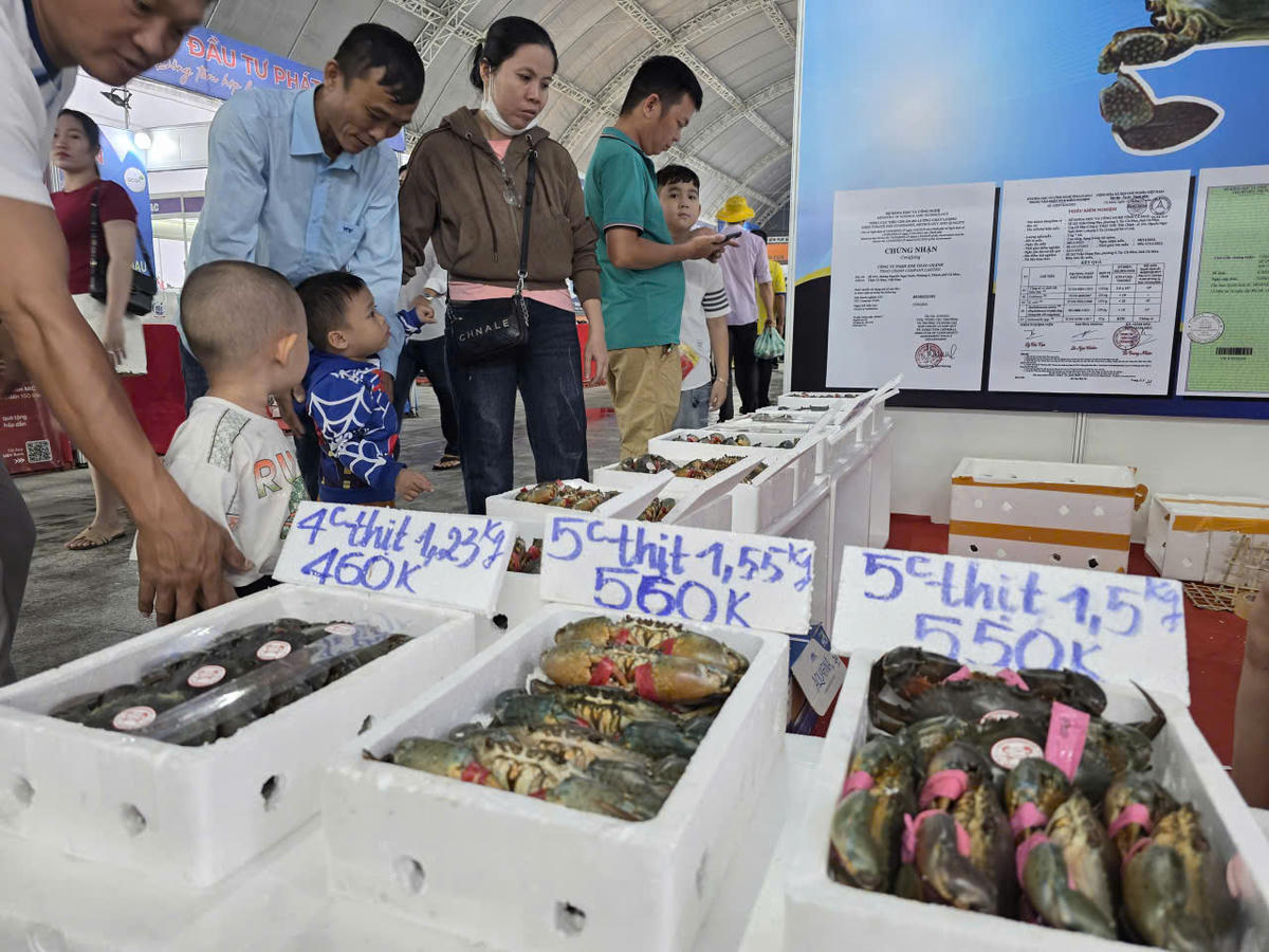 Cà Mau đặt mục tiêu hình thành vùng nguyên liệu cua biển 50.000 ha phục vụ cho xuất khẩu chính ngạch. Ảnh: Nguyên Du
