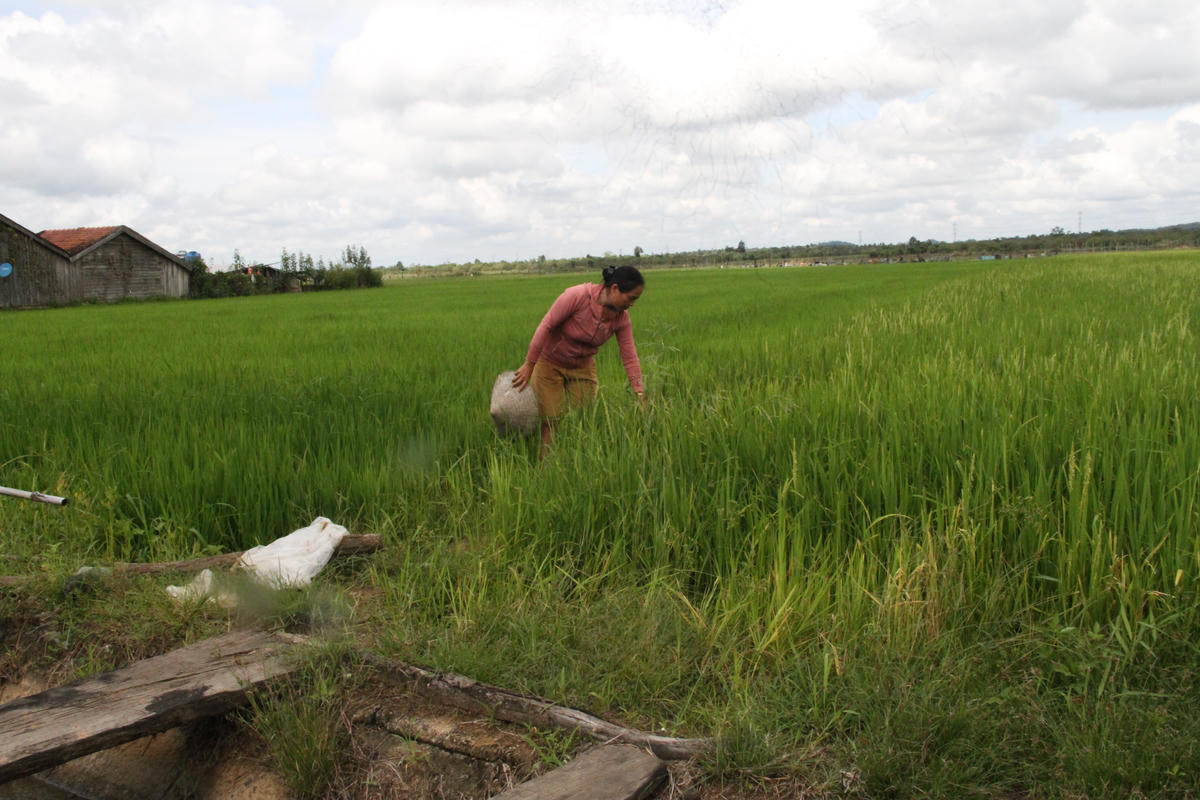 Xã Ea Rốk (Đắk Lắk): Từ “điểm nóng” thành “điểm sáng” trong phòng chống tảo hôn