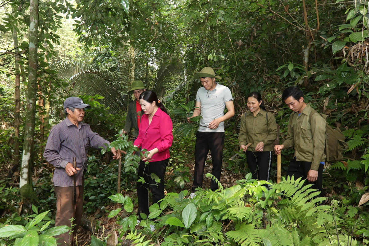 Dược sĩ, Tổng giám đốc Lê Thị Bình đến những vùng sâu vùng xa tìm dược liệu quý.
