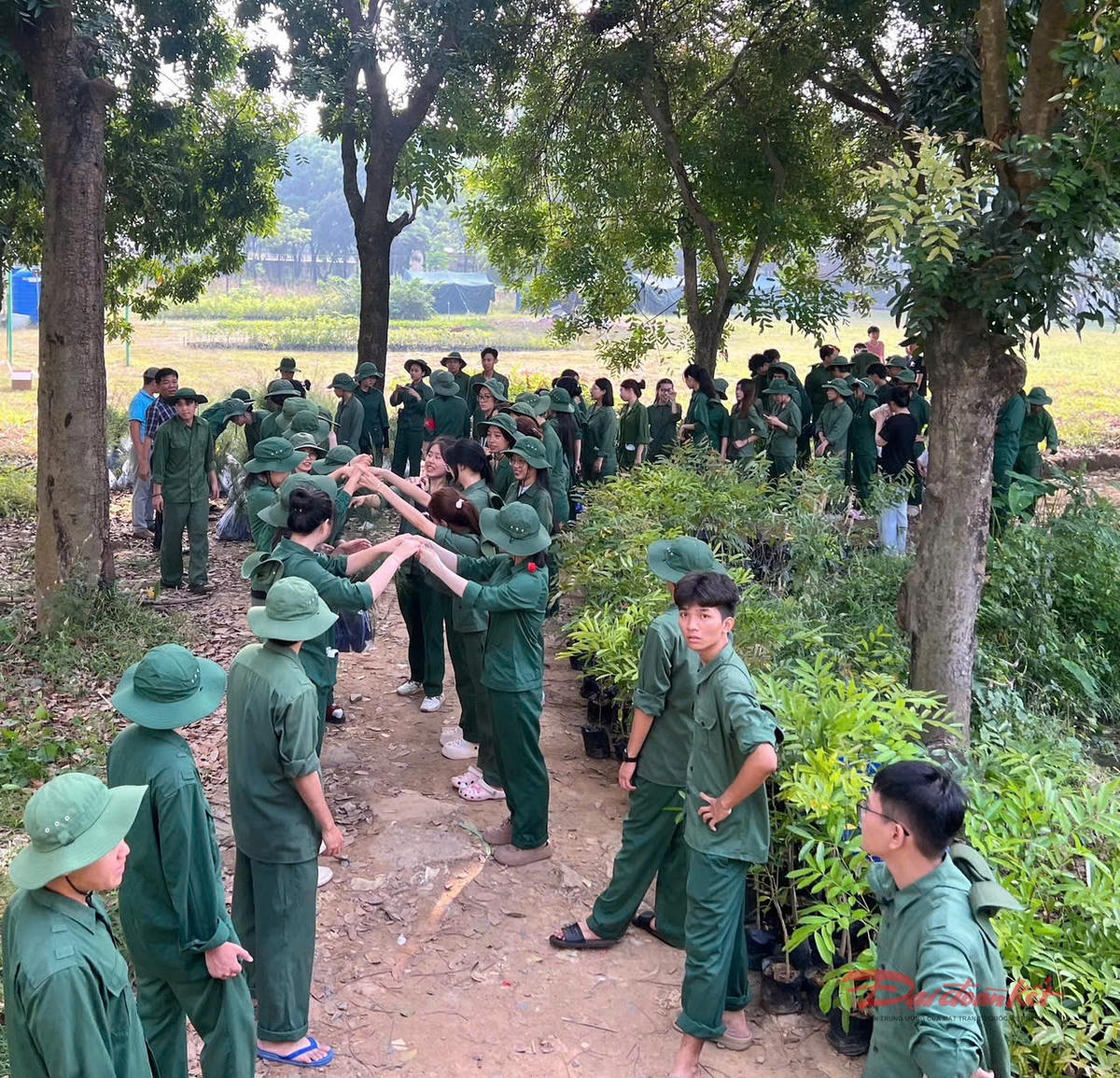 Lễ chuyển cây xanh trao tặng cán bộ, chiến sĩ quần đảo Trường Sa và Vùng 4 Hải quân. Ảnh: Hồng Phúc.