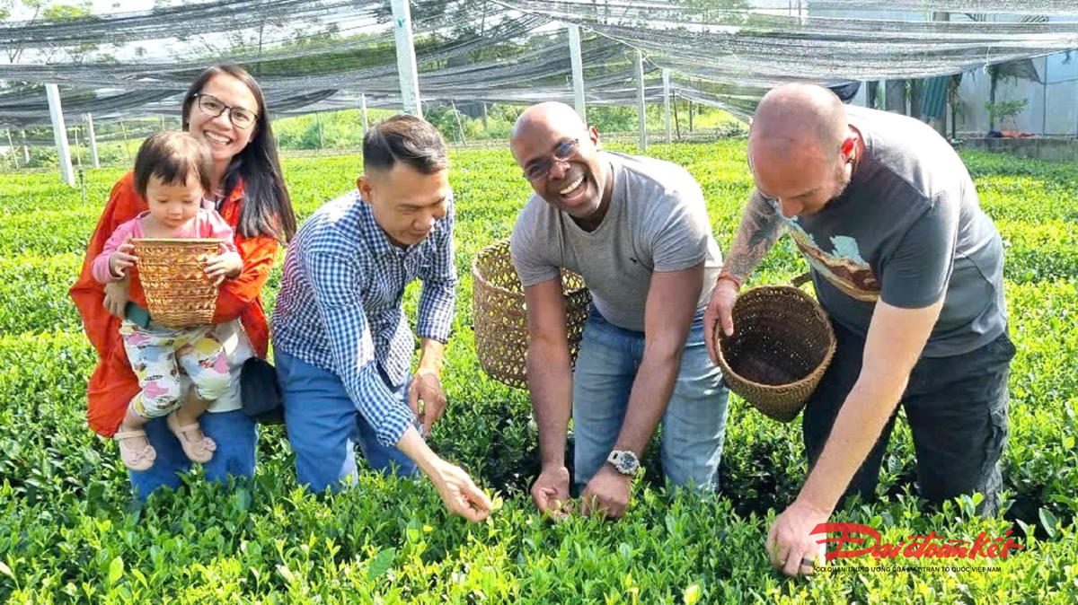 Vùng trà Thái Nguyên thu hút đông đảo du khách trong nước và quốc tế đến thăm quan, trải nghiệm. Ảnh: Toán Nguyễn.