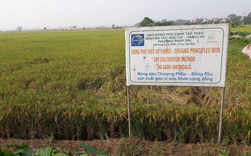 &nbsp;Gạo hữu cơ Đồng Phú đã được xuất khẩu tại nhiều thị trường khó tính. Ảnh: BT

 

 