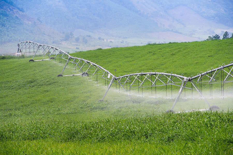 Cánh tay tưới khổng lồ của Tập đoàn TH.