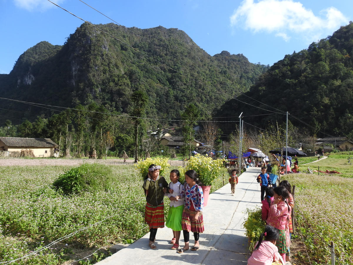 Diện mạo nông thôn khởi sắc.