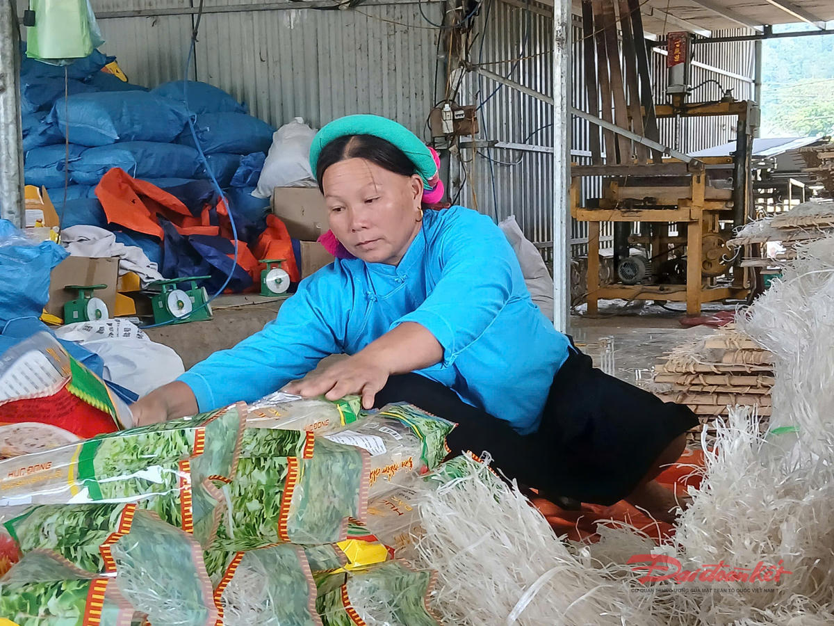 Nông dân xã Bình Liêu đổi mới công nghệ sản xuất và phương pháp kinh doanh để mở rộng thị trường tiêu thụ miến dong. Ảnh: Nguyễn Quý.&nbsp;