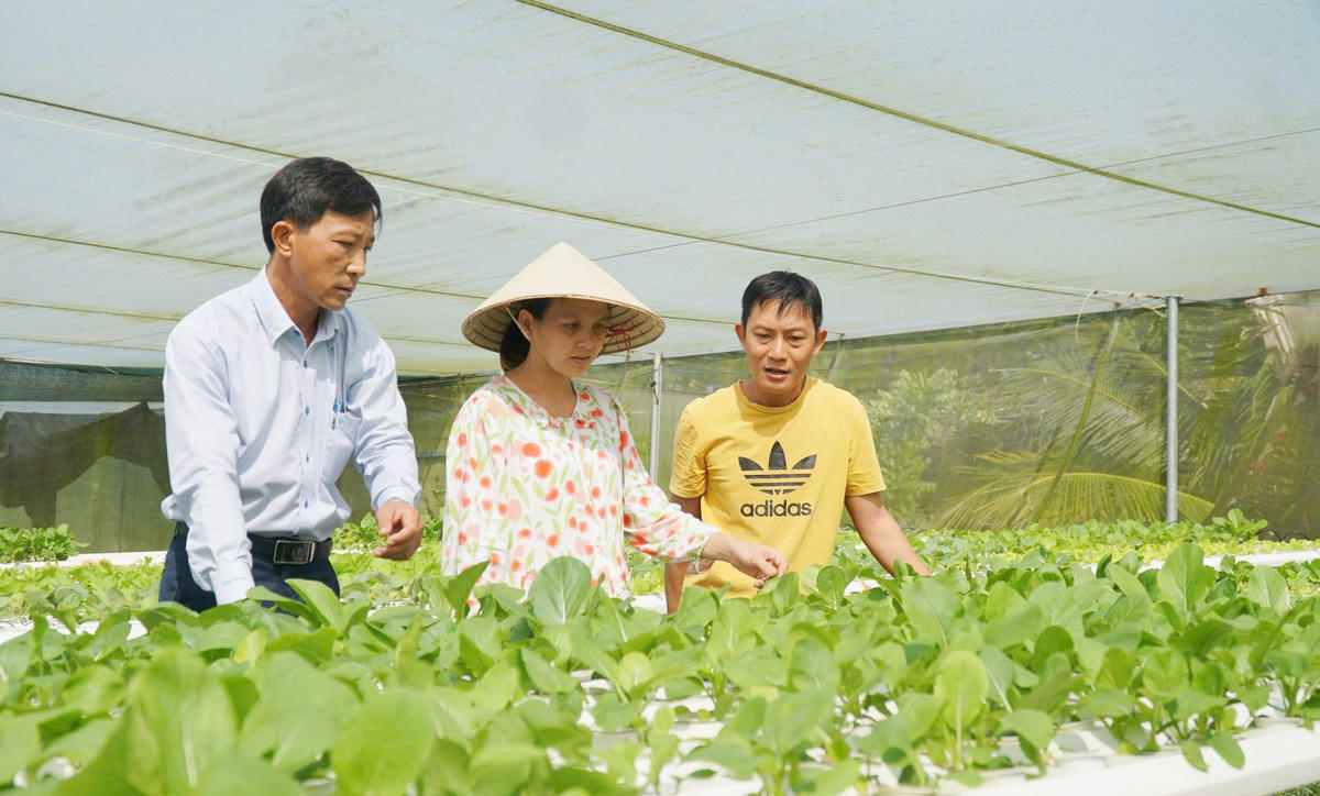 Mô hình “Rau thủy canh” của gia đình bà Nguyễn Thị Cẩm Nhung (giữa) ở khu vực 16, phường Sóc Trăng  mang lại hiệu quả kinh tế cao.