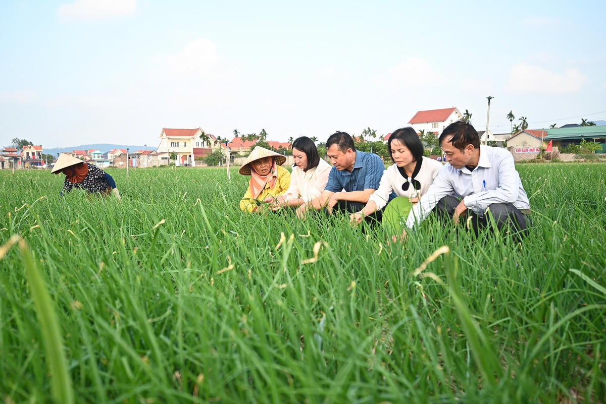 Các cán bộ Sở Nông nghiệp và Môi trường TP Hải Phòng tham quan mô hình trồng hành củ theo hướng hữu cơ tại xã Nam An Phụ, TP Hải Phòng. Ảnh: ĐM.&nbsp;