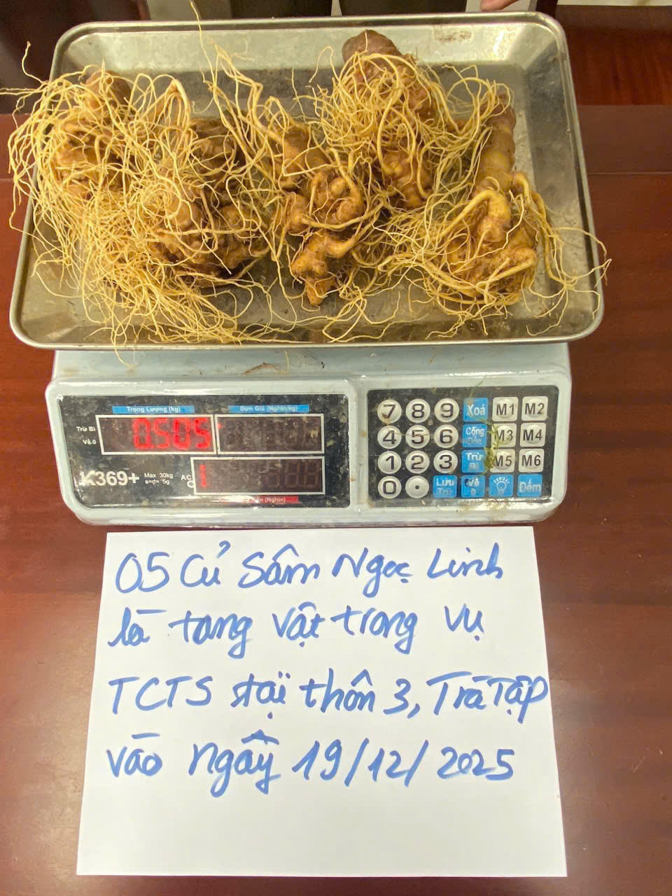 Tang vật số sâm Ngọc Linh đối tượng Phạm Văn Thuận trộm cắp. Ảnh: CV.