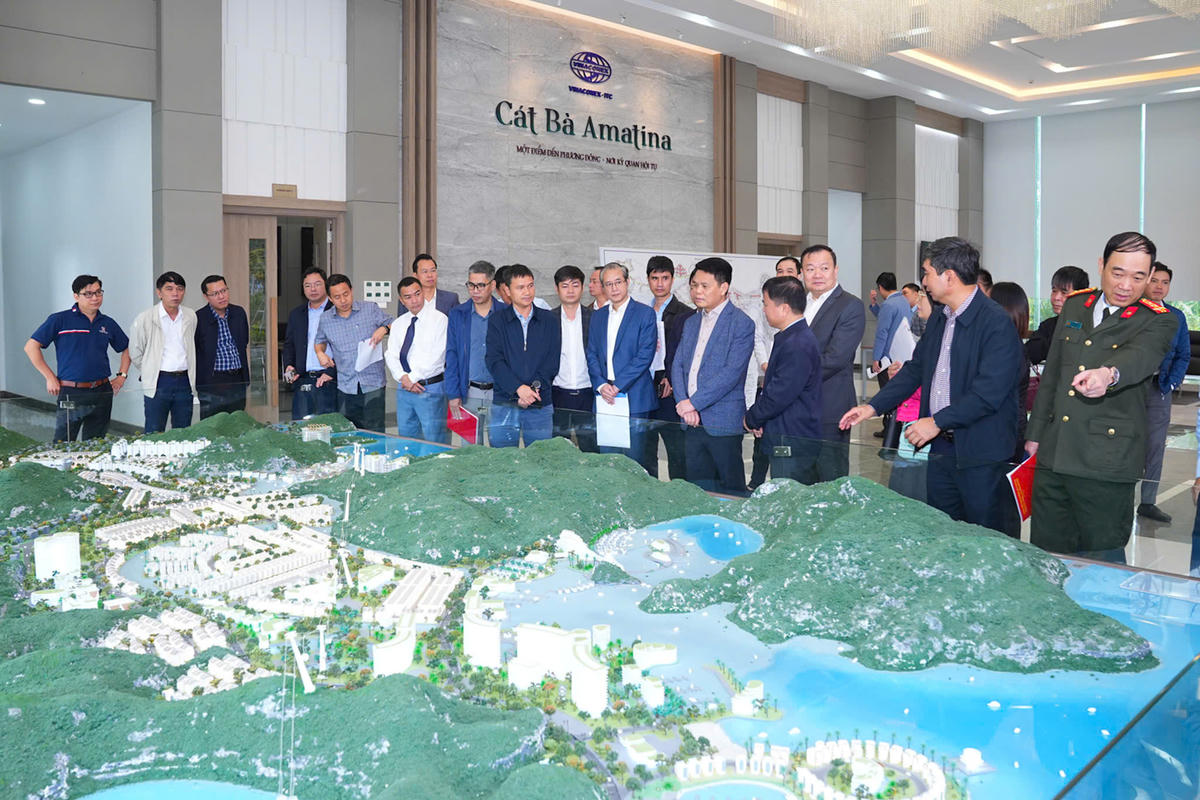Lãnh đạo TP Hải Phòng kiểm tra Dự án đầu tư Khu đô thị du lịch Cái Giá (Cát Bà Amatina). Ảnh: ĐT. 
