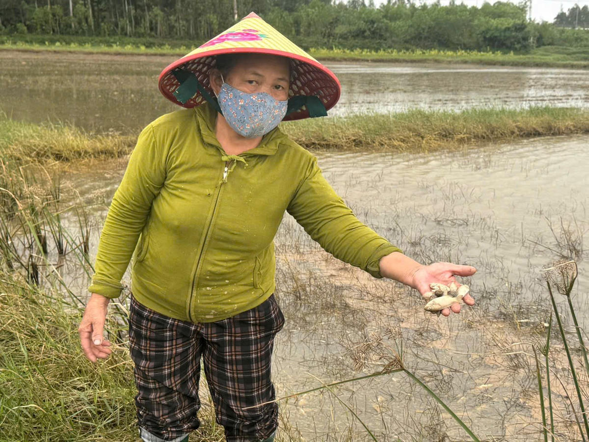 Người dân xã Vạn Tường chỉ dầu tràn ra ngoài đồng ruộng bốc mùi. Ảnh: CV.