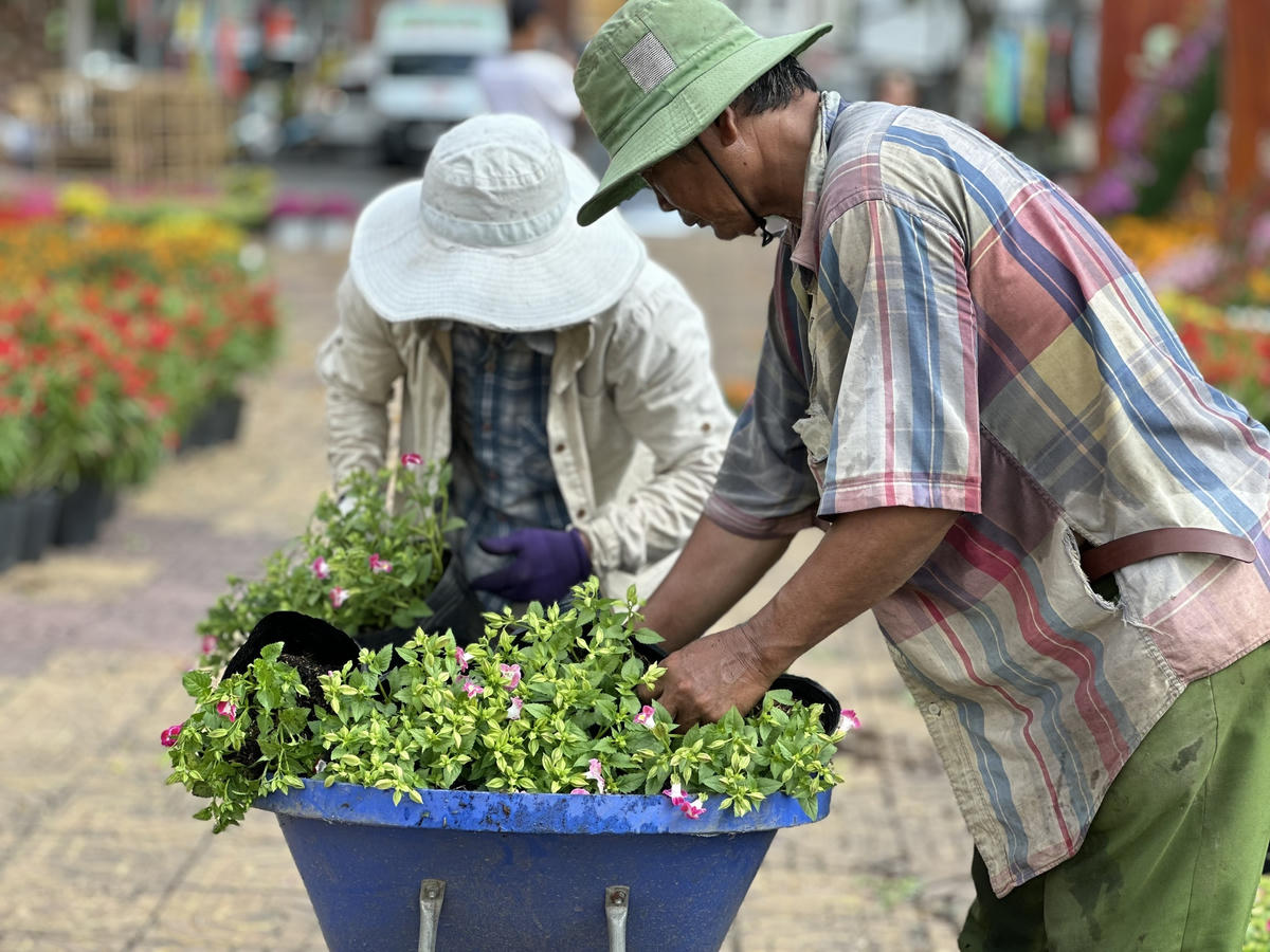 Hoa tươi được đưa đến công viên quảng trường để tạo hình bản đồ Việt Nam. Ảnh Trung Ngãi
