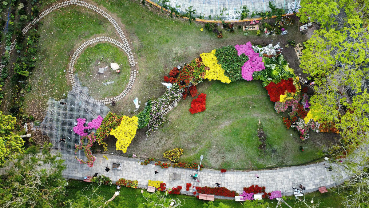 Bản đồ Việt Nam kết từ 1.000 giống hoa nhìn từ trên cao. Ảnh Trung Ngãi