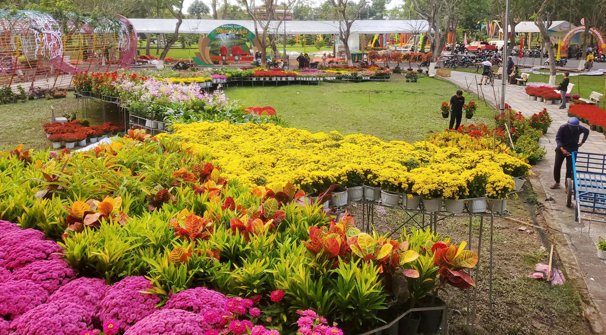 Cận cảnh bản đồ Việt Nam kết từ 1.000 giống hoa đang dần hoàn thiện. Ảnh Trung Ngãi