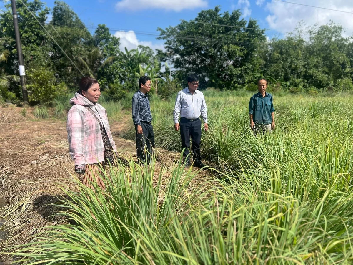 Nông dân xã Châu Thới, tỉnh Cà Mau chuyển đổi cơ cấu sản xuất, thích nghi với biến đổi khí hậu hiệu quả. Ảnh: Trọng Linh.