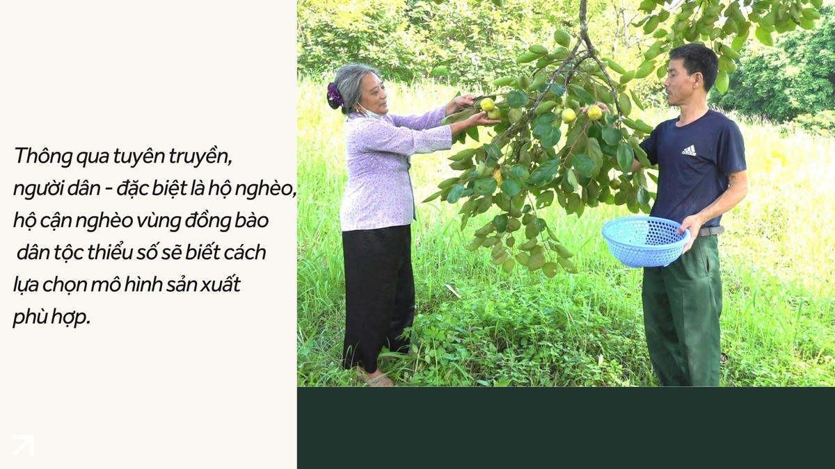 Giảm nghèo thông tin - "chìa khóa để giảm nghèo bền vững"