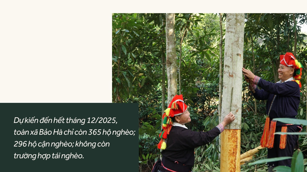 Giảm nghèo thông tin - "chìa khóa để giảm nghèo bền vững"