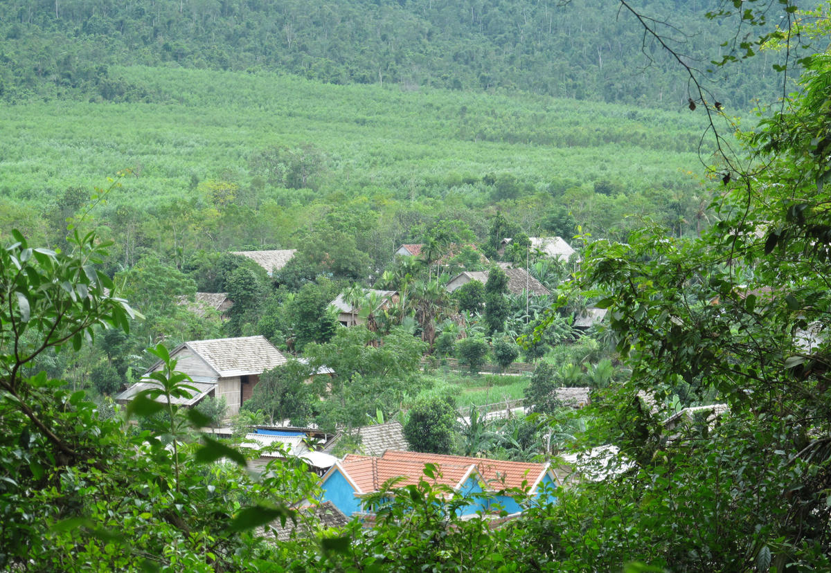 Từ thông tin trên các phương tiện truyền thông, người dân từng bước thoát nghèo nhờ phát triển trồng rừng. Ảnh: X.T 