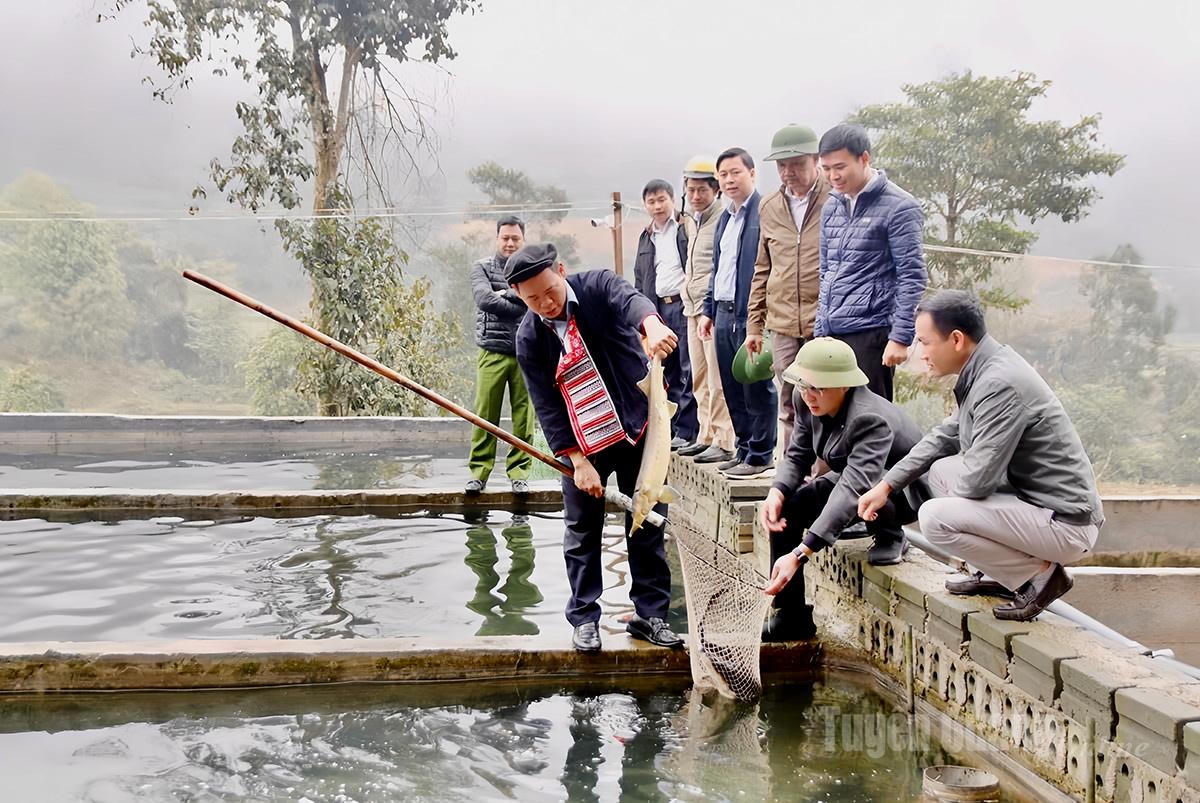Tuyên Quang: Kinh tế hộ gia đình tạo nền tảng xây dựng đời sống văn hóa mới