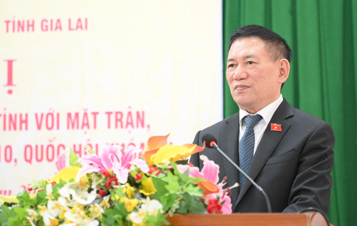 Phó Thủ tướng Chính phủ Hồ Đức Phớc phát biểu tại hội nghị. Ảnh: Tấn Thành.