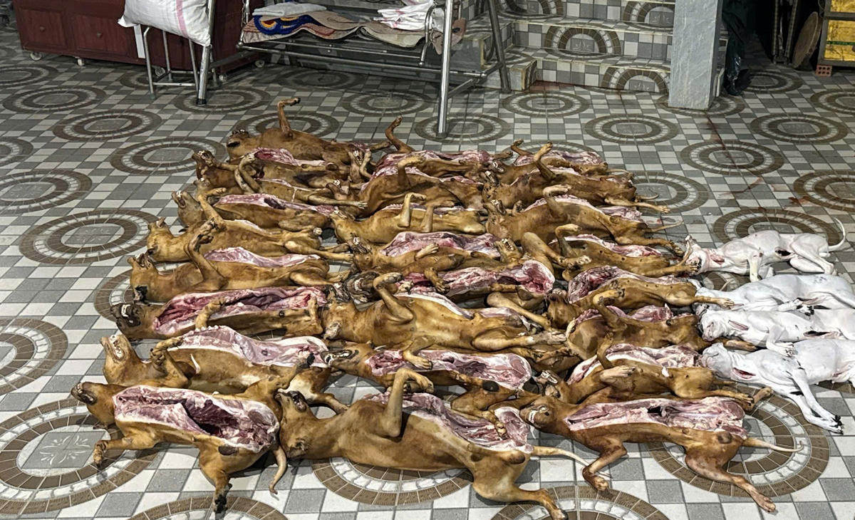 Số thịt chó không rõ nguồn gốc. Ảnh: CV.