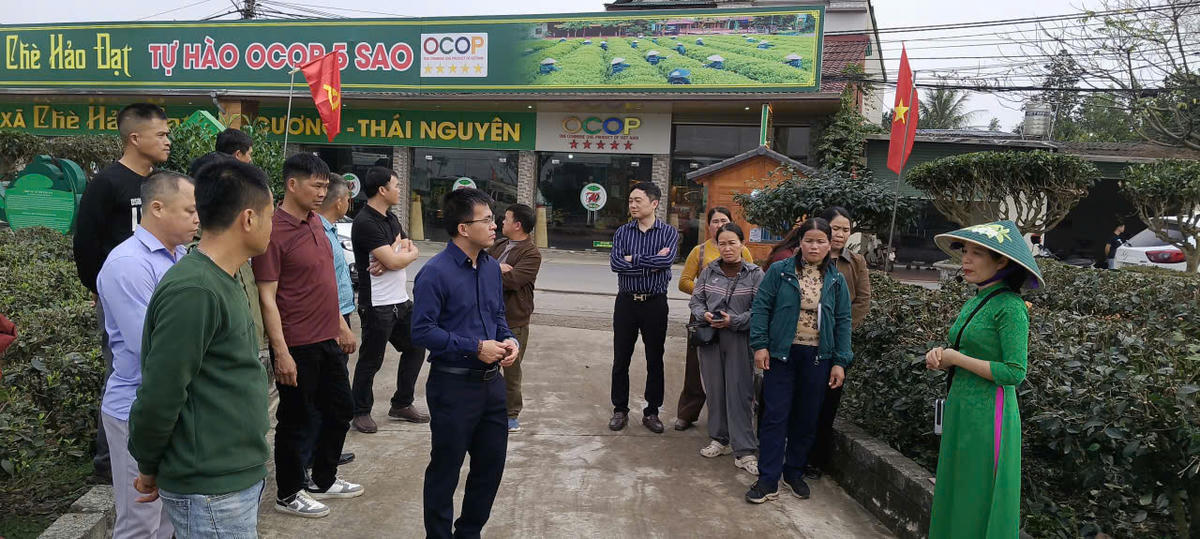 Đoàn tham quan học tập mô hình trồng chè Thái Nguyên