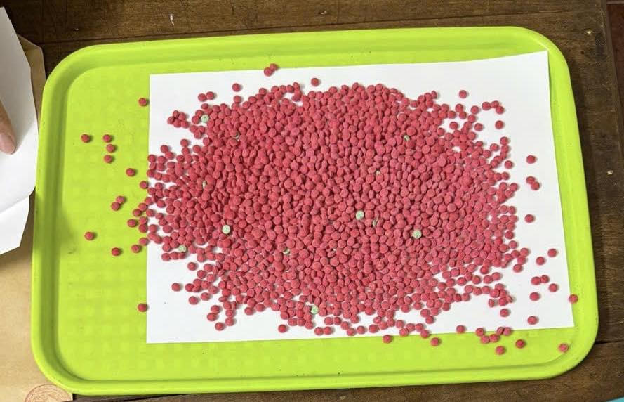 Số ma túy lực lượng chức năng thu giữ. Ảnh: Công an tỉnh Tuyên Quang.