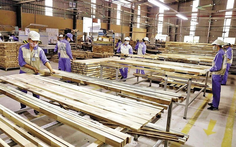 Bước sang năm 2026, ngành lâm nghiệp đặt mục tiêu duy trì tỷ lệ che phủ rừng khoảng 42%, kim ngạch xuất khẩu lâm sản khoảng 18,5 tỷ USD. Ảnh: T.L