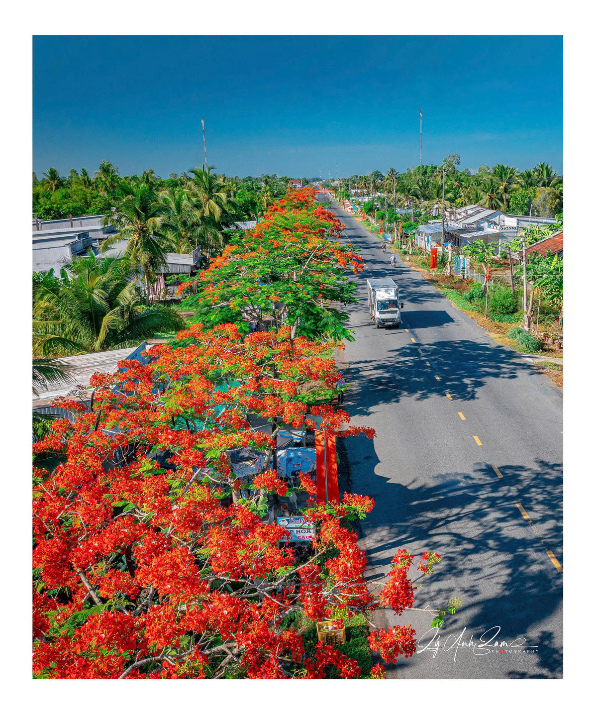 Góc ảnh khác trong bộ ảnh “Con đường hoa phượng” từng gây sốt trên mạng xã hội của NSNA Lý Anh Lam.