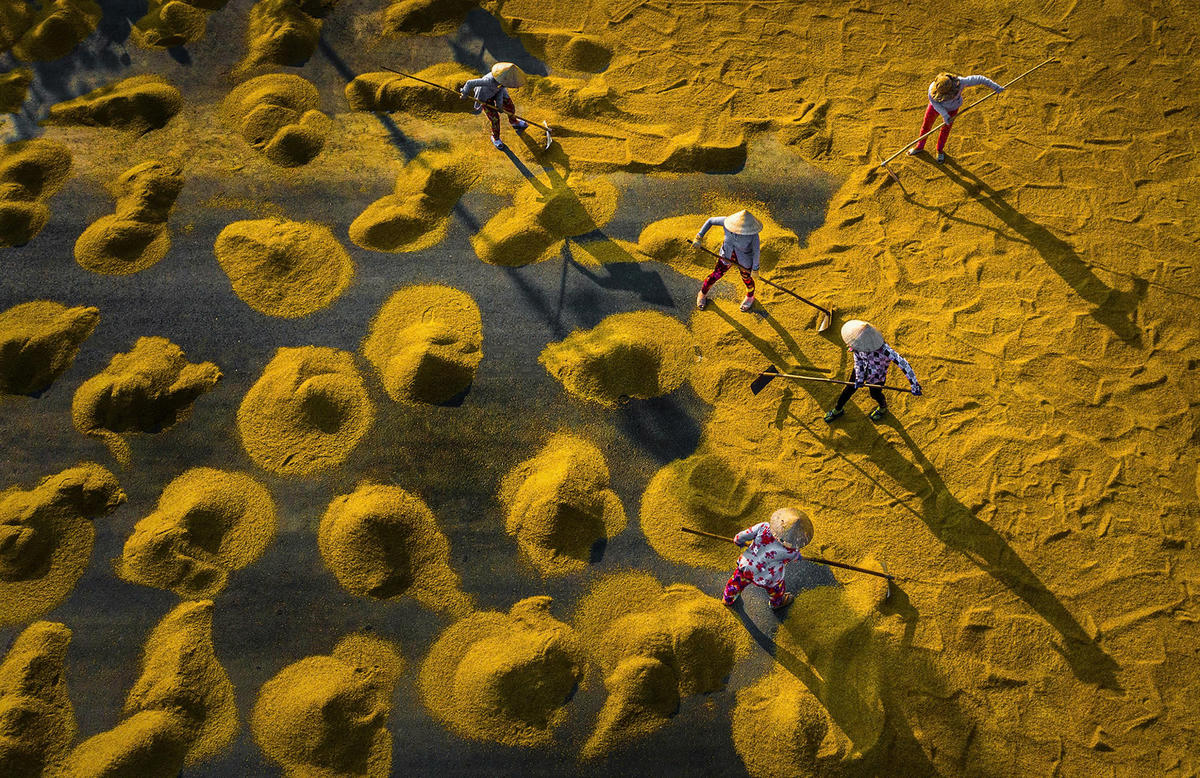 Một trong những tấm ảnh trong bộ ảnh “Hạt vàng gieo những niềm vui” của NSNA Lý Anh Lam được trao Huy chương Vàng tại Giải thưởng Nhiếp ảnh Xuất sắc của Hội Nghệ sĩ Nhiếp ảnh Việt Nam năm 2023