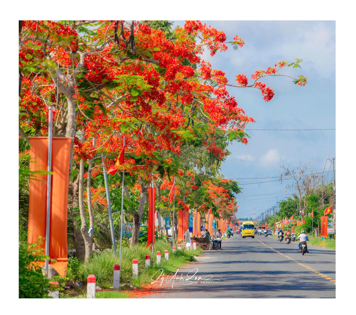 Góc ảnh khác trong bộ ảnh “Con đường hoa phượng” từng gây sốt trên mạng xã hội của NSNA Lý Anh Lam.