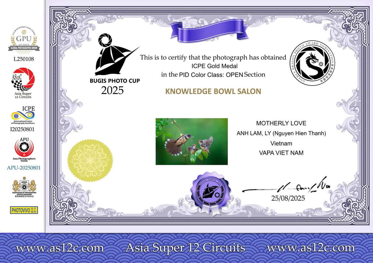 Giấy chứng nhận&nbsp;tác phẩm "Tình mẫu tử" của NSNA Lý Anh Lam được Huy chương Vàng cuộc thi ảnh Asian super 12 Circuits của Singapo tổ chức tháng 8/2025.