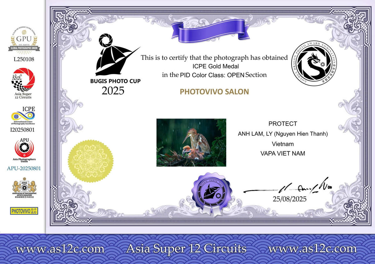 Giấy chứng nhận tác phẩm "Che chở" của NSNA Lý Anh Lam đạt Huy chương Vàng cuộc thi ảnh Asian super 12 Circuits của Singapore tổ chức tháng 8/2025.