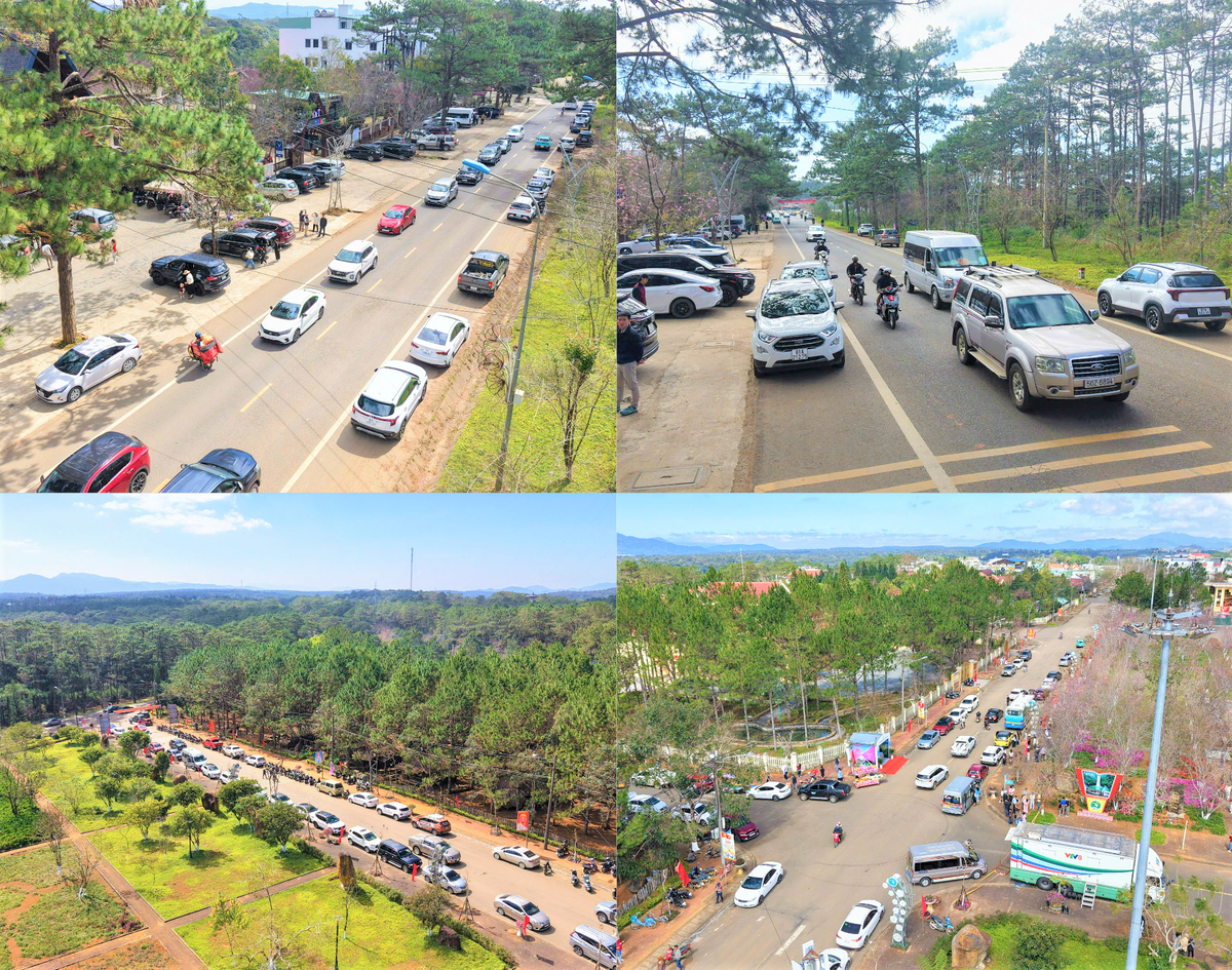 Nhiều phương tiện của du khách đến tham quan vườn hoa đào ở xã Măng Đen. Ảnh: CV.