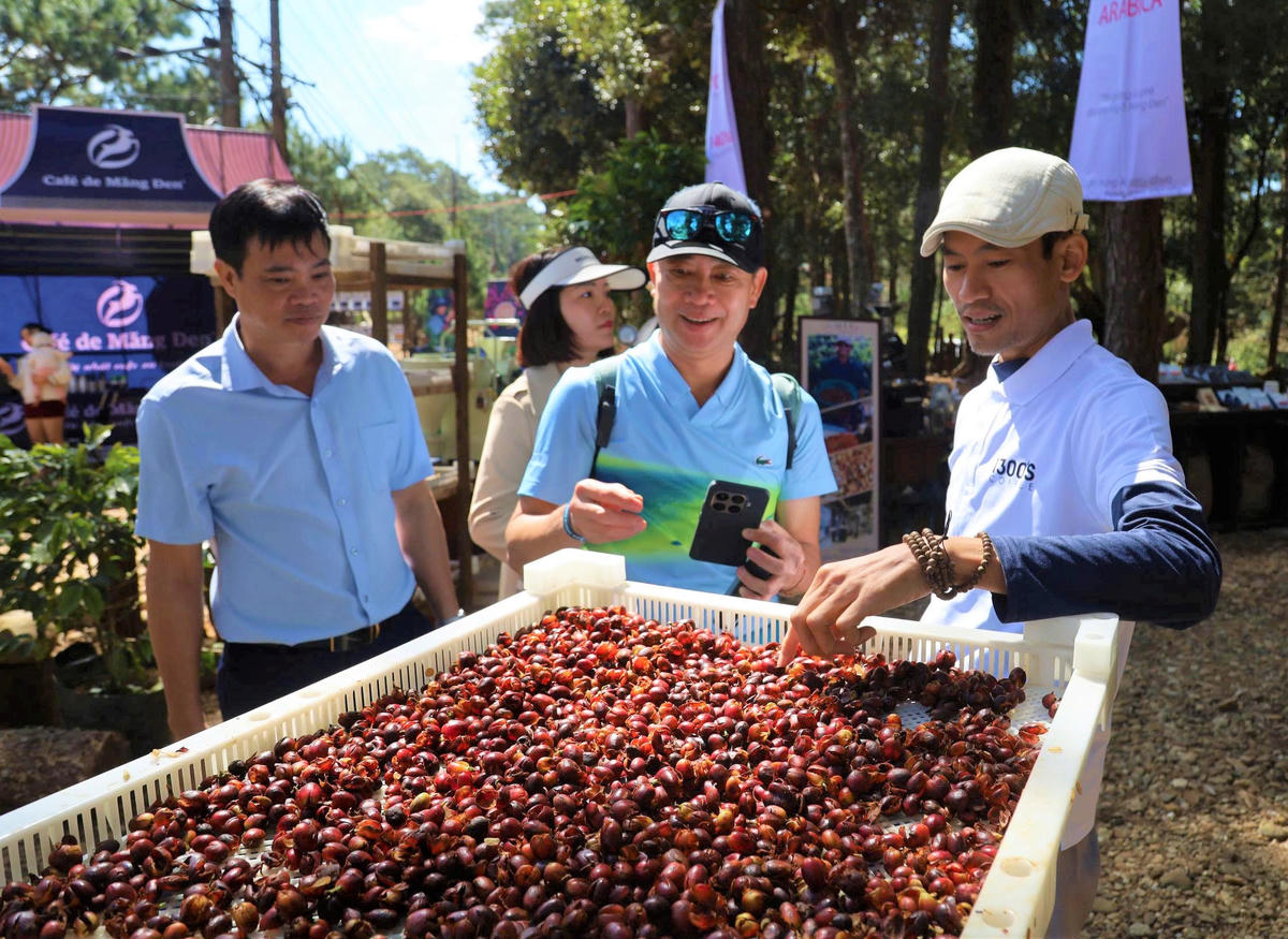 Du khách tham quan, trải nghiệm cà phê ở xã Măng Đen. Ảnh: CV.