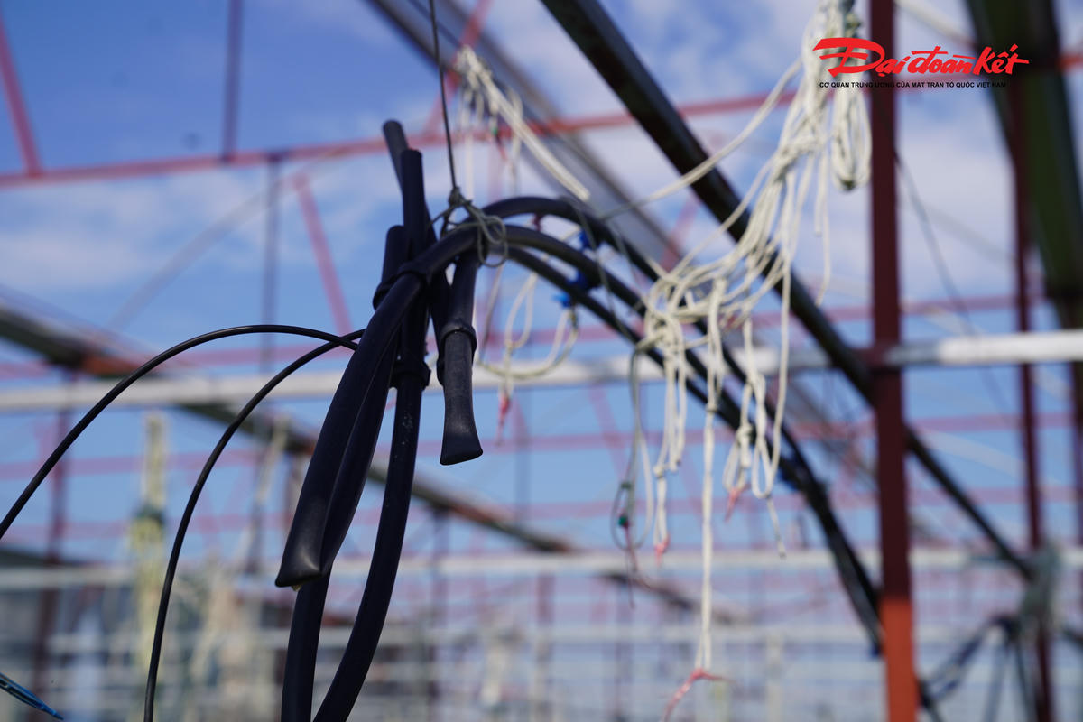 Nhà màng của gia đình ông Đào Viết Đồng (thôn Xuân Sơn, xã Toàn Lưu) hư hỏng tan tành. Hộ dân chưa thể sửa chữa, khắc phục để sản xuất vụ mới.&nbsp;