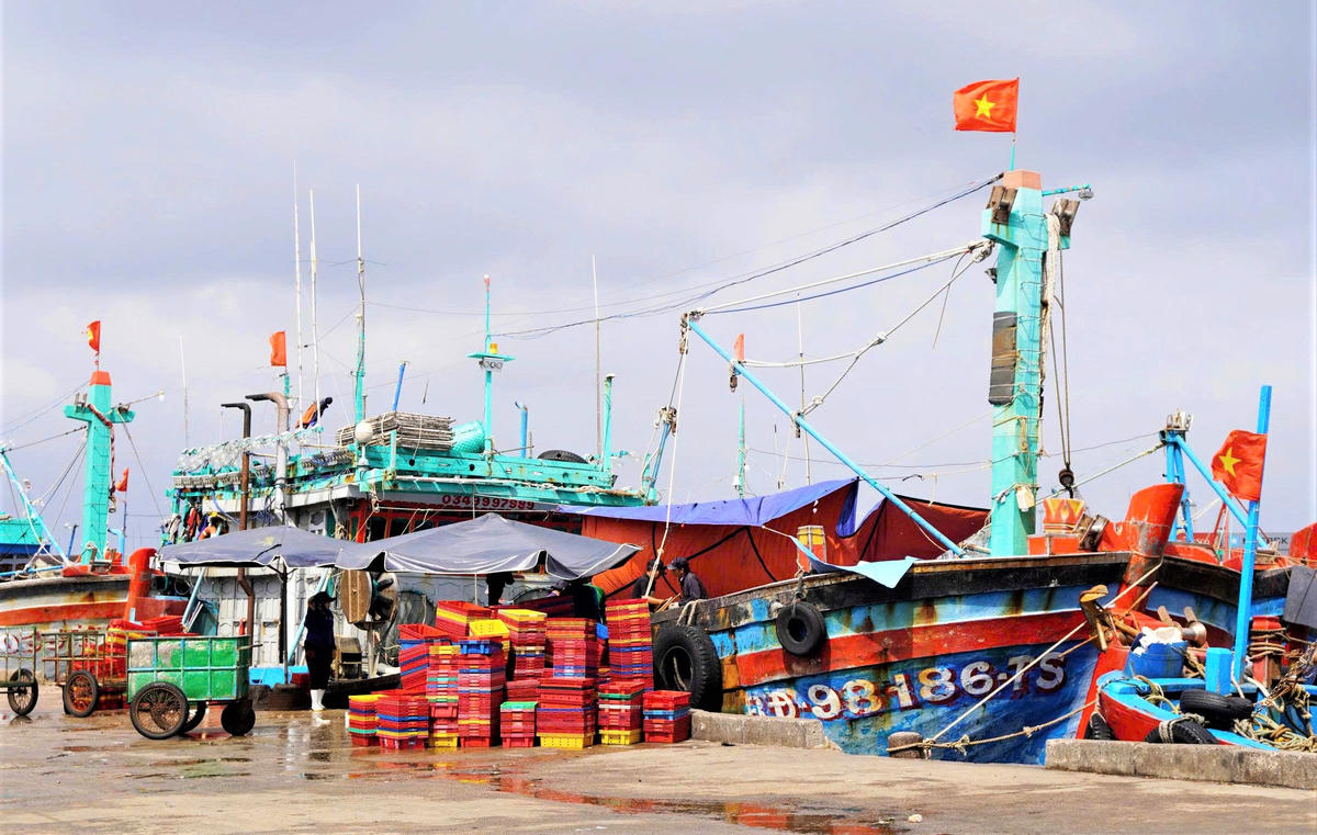Tàu cá tỉnh Gia Lai cập cảng Quy Nhơn bán hải sản cho thương lái. Ảnh: CV.