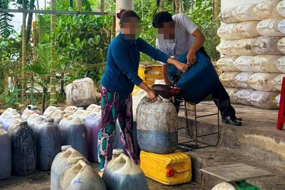 Lực lượng chức năng tỉnh Quảng Ngãi phát hiện số lượng lớn dầu ăn, mỡ heo đã qua sử dụng cùng nhớt thải. Ảnh: CV.