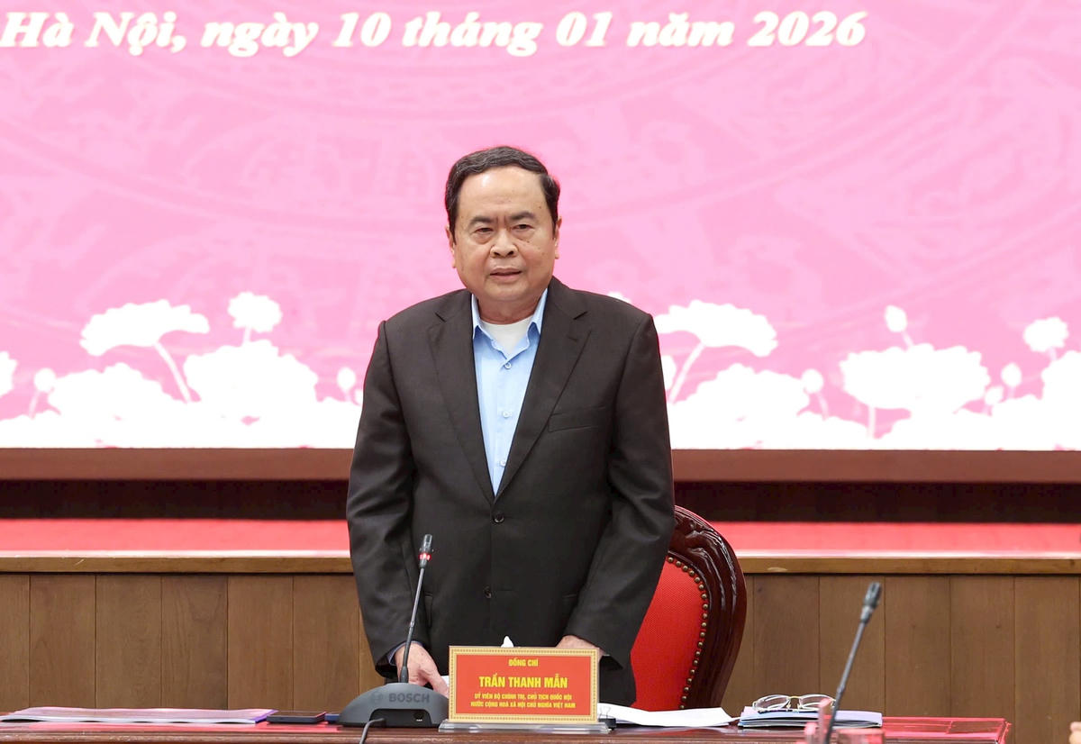 Chủ tịch Quốc hội Trần Thanh Mẫn phát biểu tại cuộc làm việc (Ảnh: Quang Thái)