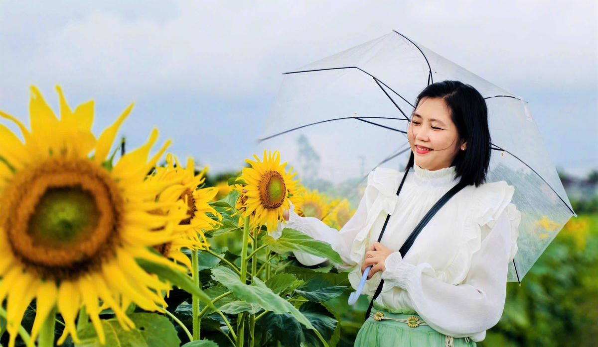 Nhiều người tạo dáng bên hoa hướng dương. Ảnh: CV.