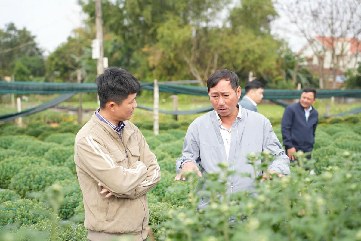 Các đơn vị khảo sát vùng trồng hoa tại phường Điện Bàn Bắc. Ảnh: Nguyễn Tú.