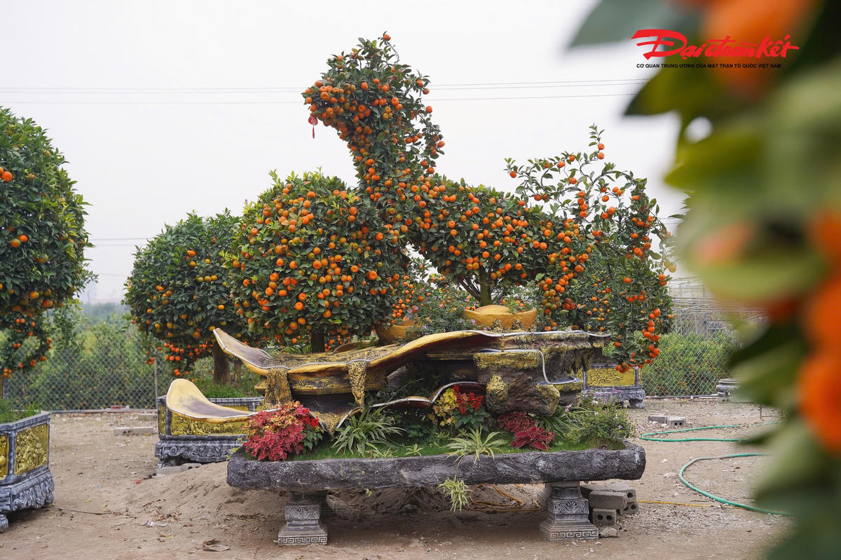 Phần thân cây được tạo thành dáng ngựa đứng hoặc ngựa tung vó, đầu, cổ và bốn chân được định hình rõ nét, trong khi tán lá và quả được phân bố hài hòa, tạo cảm giác khỏe khoắn, sinh động.