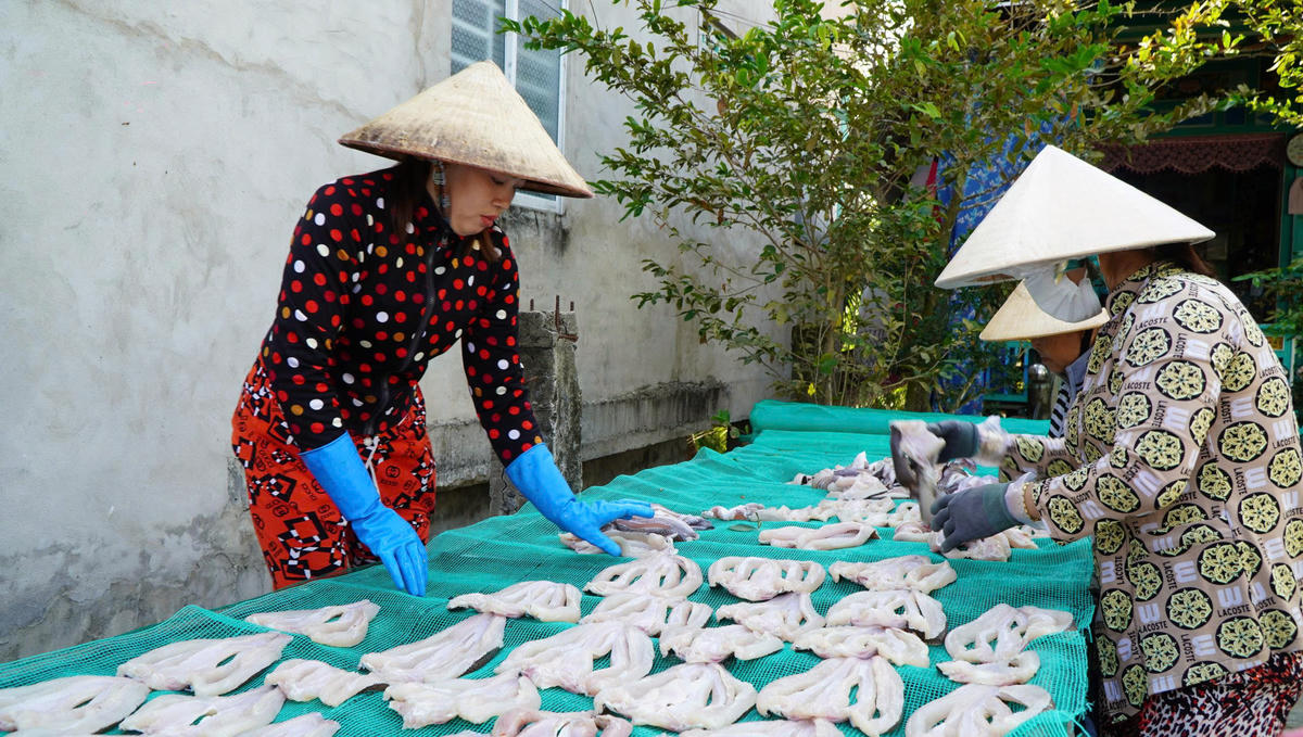 Các hộ sản xuất cá khô ở xã Phú Thọ đang tất bật phơi khô phục vụ thị trường Tết Bính Ngọ năm 2026. Ảnh: Trung Ngãi. 