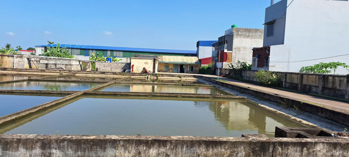 Nhà máy nước Cấp Tiến (xã Tân Minh, TP Hải Phòng) đã được thay thế. Ảnh: PT.&nbsp;