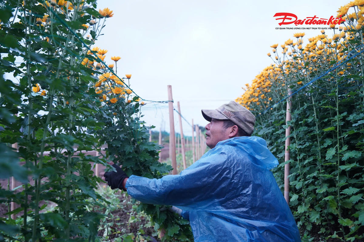 Theo Trung tâm Dự báo Khí tượng Thủy văn Quốc gia, ngày 22/1, không khí lạnh tiếp tục ảnh hưởng đến các nơi khác ở khu vực Bắc Trung Bộ và Tây Bắc Bộ, sau đó ảnh hưởng đến Trung Trung Bộ.