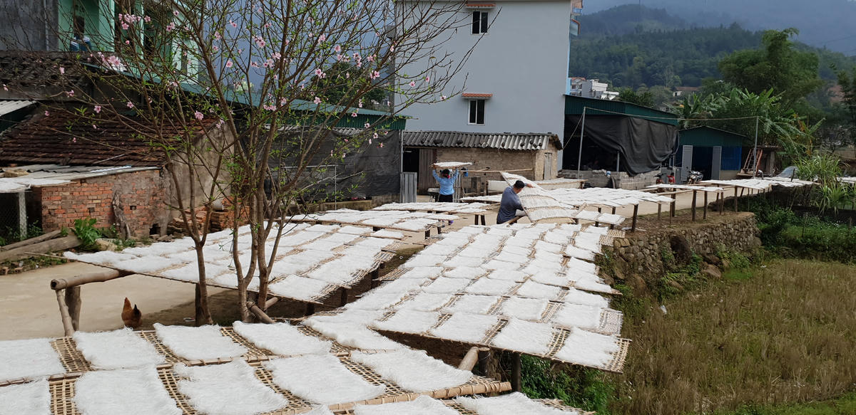 Quảng Ninh sẽ phát triển Làng nghề miến dong Bình Liêu trở thành sản phẩm văn hóa, du lịch. 