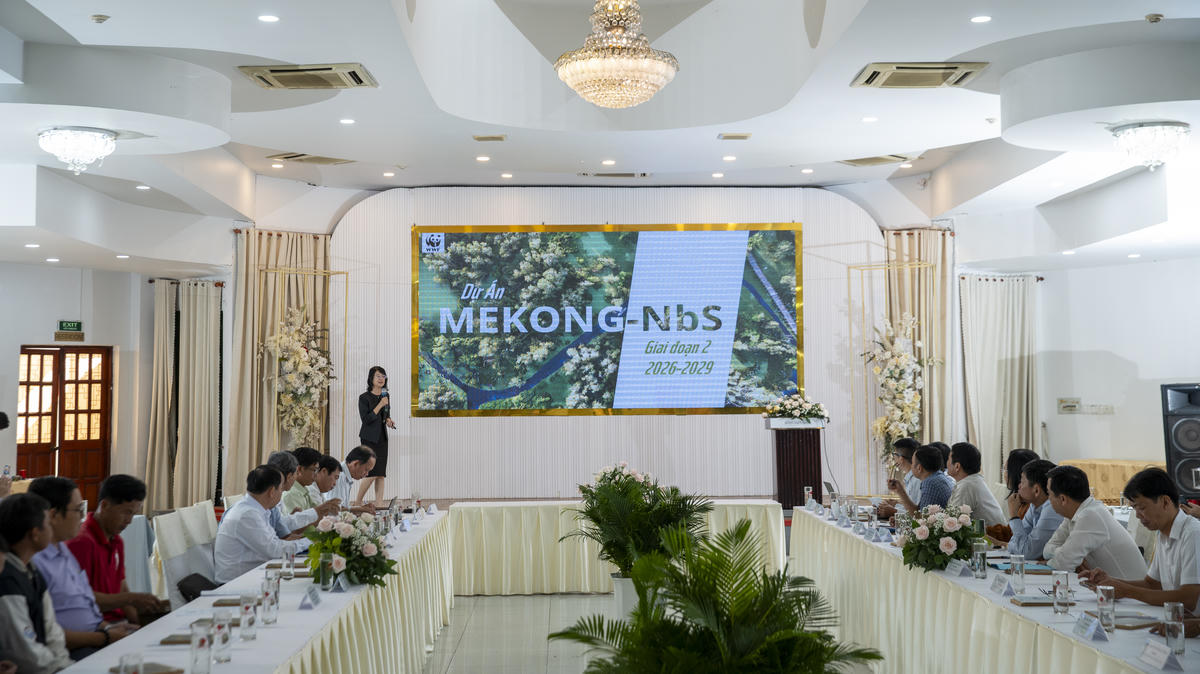 Quang cảnh hội nghị. (ảnh: BTC)