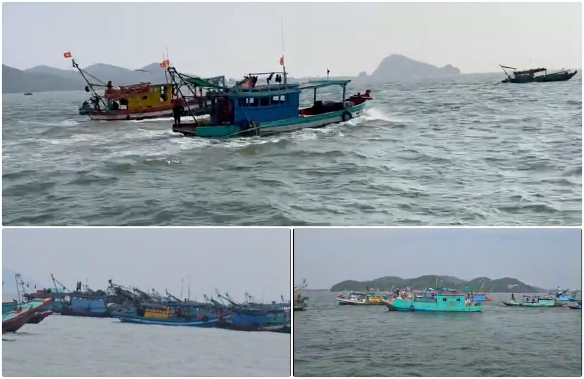 Hàng loạt tàu “3 không” khai thác thủy sản trái phép trên vùng biển Kiên Lương. (ảnh: CTV)