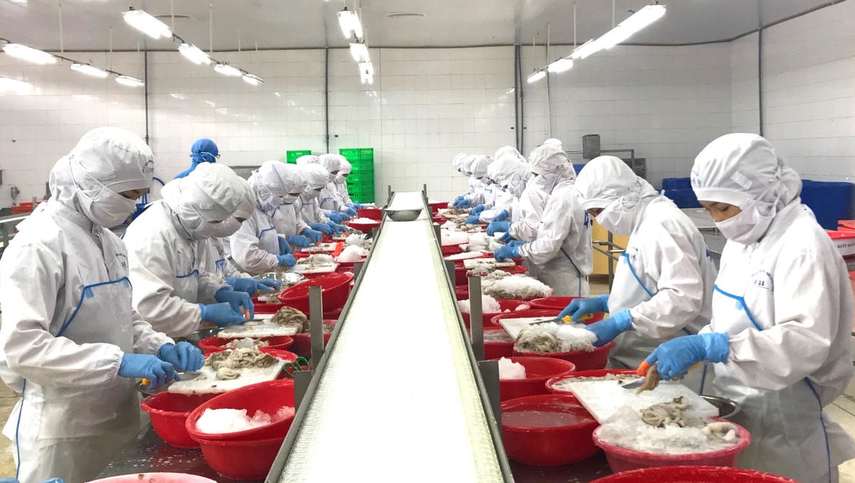 Thuỷ sản là lĩnh vực có mức tăng trưởng xuất khẩu cao trong năm qua. Ảnh: Q.Đ.